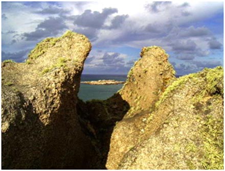 Parque Nacional de Cabo Polonio