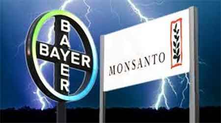 Bayer-Monsato