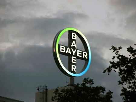 Bayer-Monsanto firar lagen för att främja infödd majs