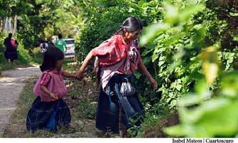 Defensa territorial de las mujeres tzotziles de Aldama