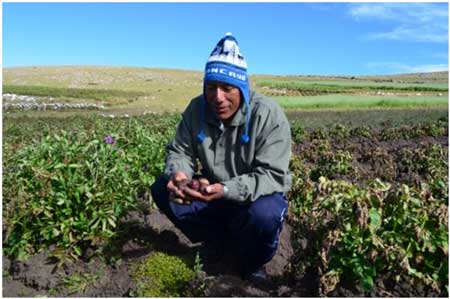 Productos nativos desafan al cambio climtico