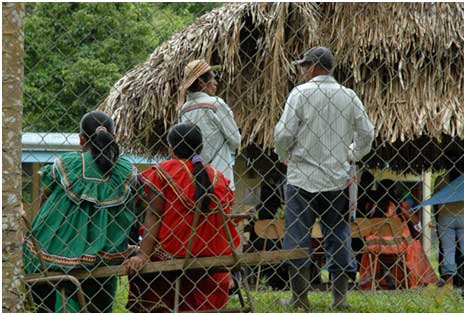 La migracin de las familias Ngbe-Bugl