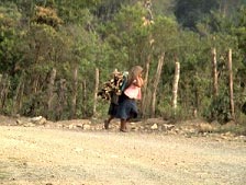 Indgenas de Oaxaca intercambian a las mujeres por ganado