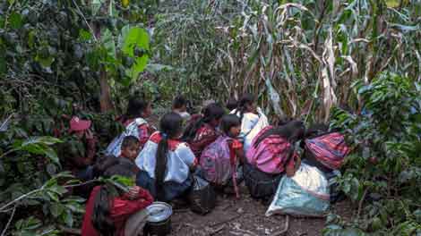 Situación de niñez en Chiapas