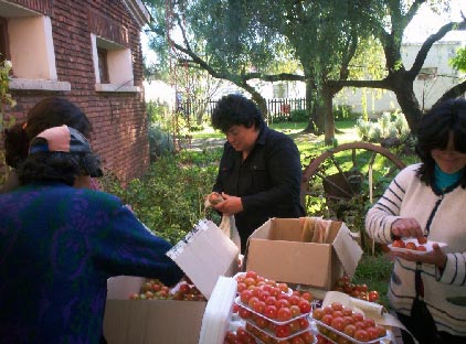 Mujeres de Brum