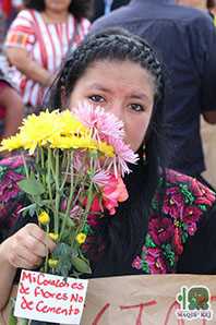 Mi corazn es de flores, no de cemento