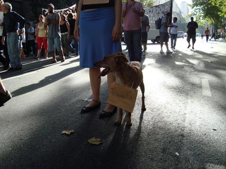 Perro con un cartel que dice terrorista