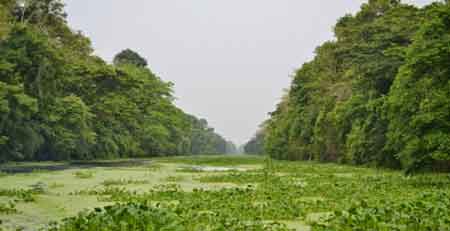 Zulia naturliga kanaler och mangrovetrskmarker