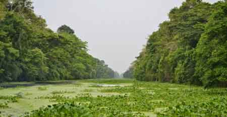 Zulia con la belleza de sus humedales, caos y manglares