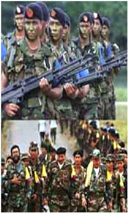 LAS FARC. La importacin e Instrumentalizacin de un conflicto para la criminalizacin Mapuche