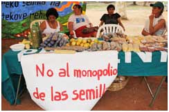 Paraguays regering frsvarar genmodifierade grdor