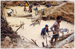 Los garimpeiros, depredadores sin fronteras