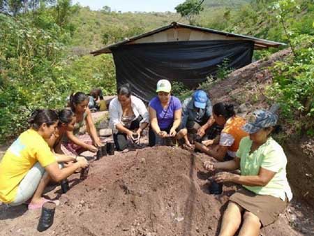 Kvinnors lantbrukskooperativen i Nicaragua