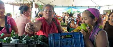 Medlemmar av Lantbruksfrbundet fr kvinnors produktionskooperativ av Nicaragua