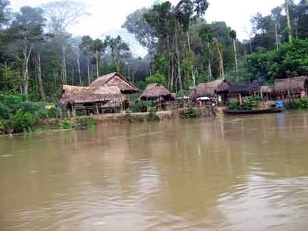 Peruanska Amazonas regnskog