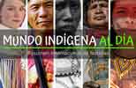 Mundo indígena