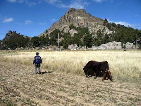 Att uppn mlen i Santiago de Okola, Bolivia